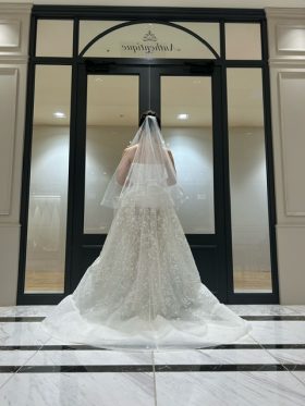 Elie Saab エリー・サーブ ウェディングドレス Weddingdress ボールガウン　スパンコール